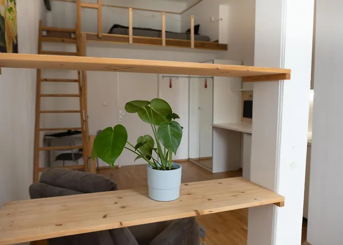 Gemuetliches Mit Hochbett Im Herzen Von Appartement