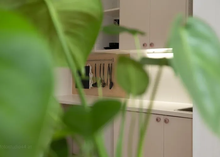 Gemuetliches Mit Hochbett Im Herzen Von